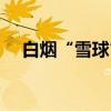 白烟“雪球”（关于白烟“雪球”介绍）