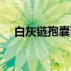 白灰链孢囊菌（关于白灰链孢囊菌介绍）
