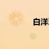 白洋葱（关于白洋葱介绍）