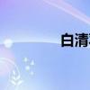 白清羽（关于白清羽介绍）