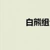 白熊组合（关于白熊组合介绍）