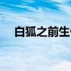 白狐之前生债（关于白狐之前生债介绍）