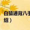 白猿通背八手连拳（关于白猿通背八手连拳介绍）