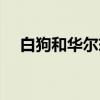白狗和华尔兹（关于白狗和华尔兹介绍）