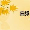 白猿公(关于白猿公介绍) 白猿公(关于白猿公介绍)