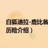 白狐迪拉-鹿比翁的英雄历险（关于白狐迪拉-鹿比翁的英雄历险介绍）