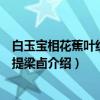 白玉宝相花蕉叶纹带盖提梁卣（关于白玉宝相花蕉叶纹带盖提梁卣介绍）