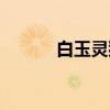 白玉灵猫（关于白玉灵猫介绍）