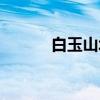 白玉山塔（关于白玉山塔介绍）