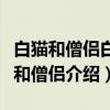 白猫和僧侣白猫和僧侣（关于白猫和僧侣白猫和僧侣介绍）