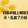 白狐妖碰上网球王子 天！乱套了（关于白狐妖碰上网球王子 天！乱套了介绍）