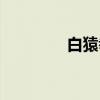 白猿拳（关于白猿拳介绍）