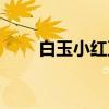 白玉小红豆（关于白玉小红豆介绍）