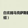 白玄鸥马克萨斯群岛亚种（关于白玄鸥马克萨斯群岛亚种介绍）