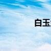 白玉盘（关于白玉盘介绍）