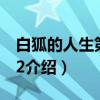 白狐的人生第二季2（关于白狐的人生第二季2介绍）