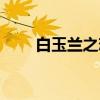白玉兰之恋（关于白玉兰之恋介绍）