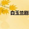 白玉兰剧场（关于白玉兰剧场介绍）