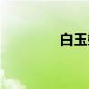 白玉婷（关于白玉婷介绍）
