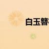 白玉簪花（关于白玉簪花介绍）