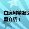 白癜风精准医疗联盟（关于白癜风精准医疗联盟介绍）