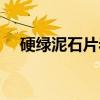 硬绿泥石片岩（关于硬绿泥石片岩介绍）