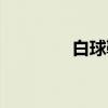 白球鞋（关于白球鞋介绍）