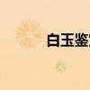 白玉鉴赏（关于白玉鉴赏介绍）
