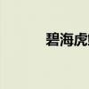 碧海虎鲸（关于碧海虎鲸介绍）