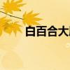 白百合大殿(关于白百合大殿介绍) 白百合大殿(关于白百合大殿介绍)