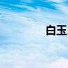 白玉良（关于白玉良介绍）