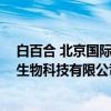 白百合 北京国际生物科技有限公司（关于白百合 北京国际生物科技有限公司介绍）