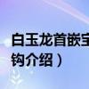 白玉龙首嵌宝石带钩（关于白玉龙首嵌宝石带钩介绍）