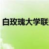 白玫瑰大学联盟（关于白玫瑰大学联盟介绍）