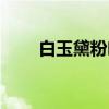 白玉黛粉叶（关于白玉黛粉叶介绍）