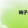 碗子山（关于碗子山介绍）