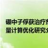 硼中子俘获治疗剂量计算优化研究(关于硼中子俘获治疗剂量计算优化研究介绍) 硼中子俘获治疗剂量计算优化研究(关于硼中子俘获治疗剂量计算优化研究介绍)