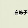 白珠子草（关于白珠子草介绍）