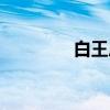 白王后（关于白王后介绍）