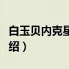 白玉贝内克星珊瑚（关于白玉贝内克星珊瑚介绍）