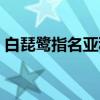 白琵鹭指名亚种（关于白琵鹭指名亚种介绍）