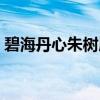 碧海丹心朱树屏（关于碧海丹心朱树屏介绍）