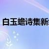 白玉蟾诗集新编（关于白玉蟾诗集新编介绍）