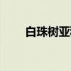 白珠树亚科（关于白珠树亚科介绍）