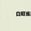 白眶雀鹛（关于白眶雀鹛介绍）