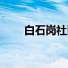 白石岗社区（关于白石岗社区介绍）