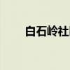 白石岭社区（关于白石岭社区介绍）
