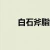 白石斧脂鲤（关于白石斧脂鲤介绍）