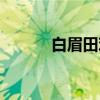 白眉田鸡（关于白眉田鸡介绍）