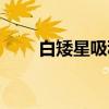 白矮星吸积（关于白矮星吸积介绍）